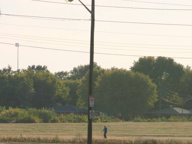 aae